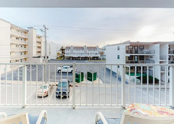 Surfwood Ocean Stadt