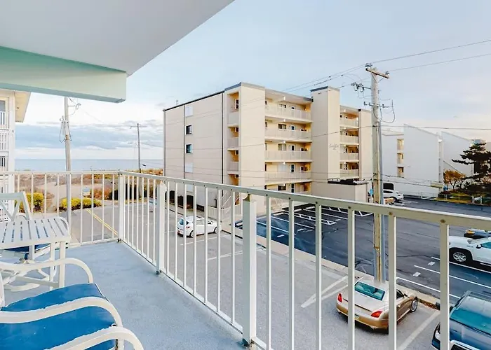Surfwood * Ocean Stadt